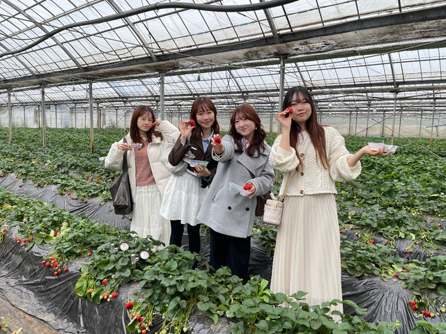 ��������_�q�삢������