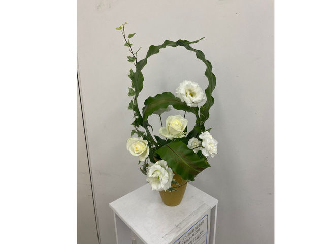 �����΂Ȃ���A�����W�����g�A�v���U�[�u�h�t�����[�܂ł��낢��y���߂܂��B_�t���[�i�y�Y����