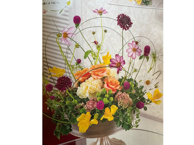 �J���L��������i�ł��B_�t���[�i�y�Y����