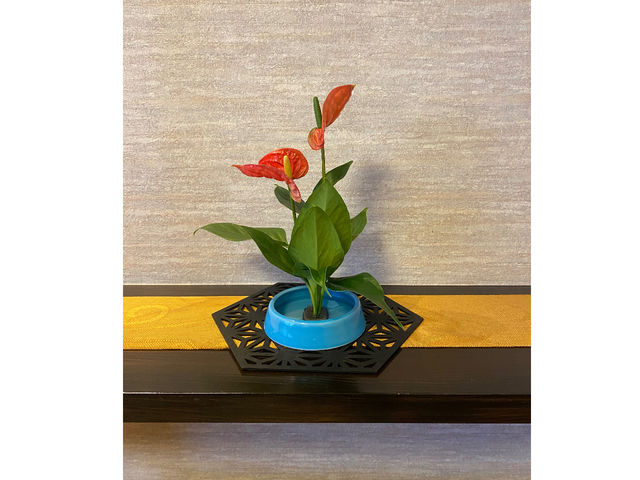 �����Ȃ����΂ȁB���b�X��������i��X�ɏ���܂��B_�t���[�i�y�Y����