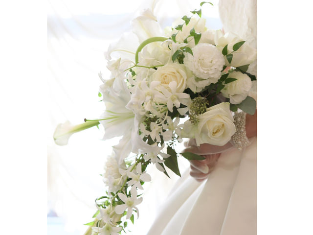 �u���C�_���u�[�P��1�ԍD���ł��B_�t���[�i�y�Y����