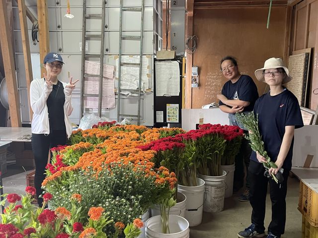 �Ă͂��Ԃ���������_�F��ɂ��ɂ��_��