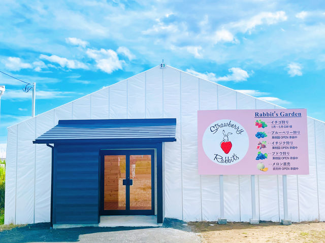 Strawberry Rabbit's̎ʐ^1