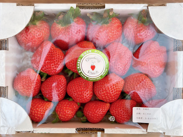 ���y�Y�ɐl�C�ł���_Strawberry Rabbit's