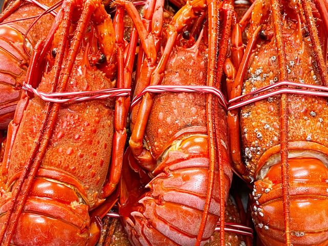 �d�o�� �Ð�