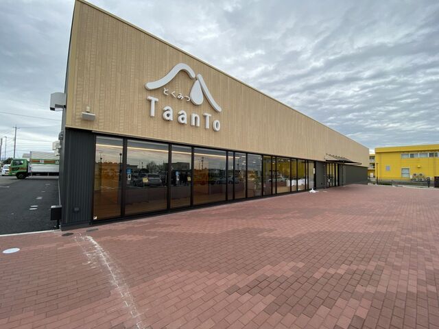 ���R�Q�[�g�E�F�C�Ƃ��݂�TaanTo�̎ʐ^1