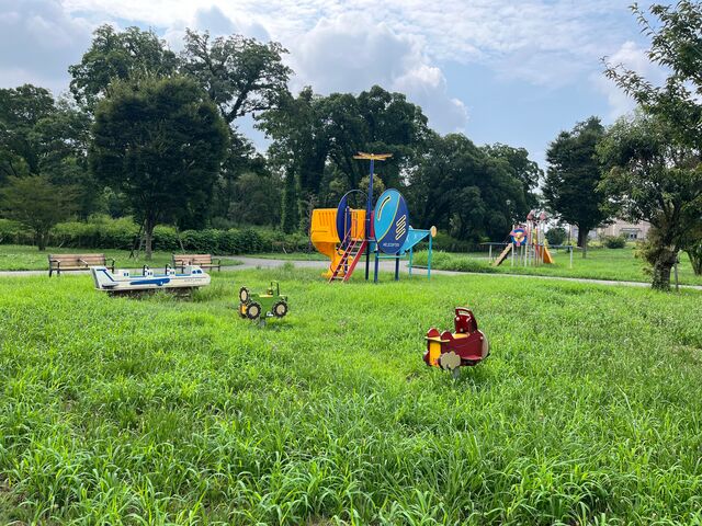 �򒬐�����