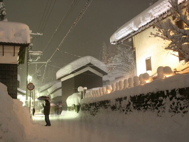 �����`���I�������Q�ۑ��n��̎ʐ^1