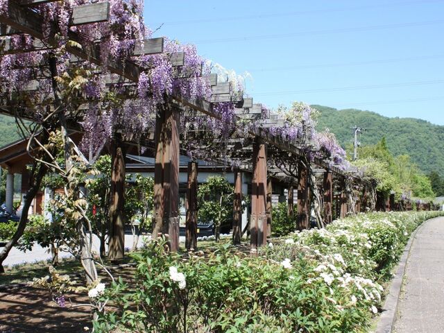 R낭e[}p[N@gn^͍E쉀n̎ʐ^1