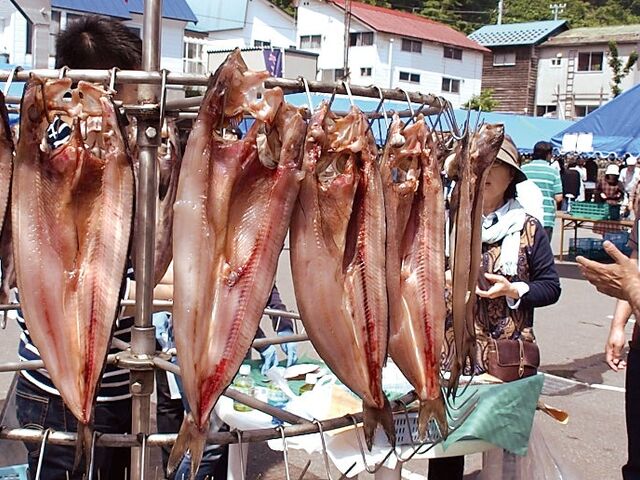 �����Ⴑ���񋙋��Ղ̎ʐ^1