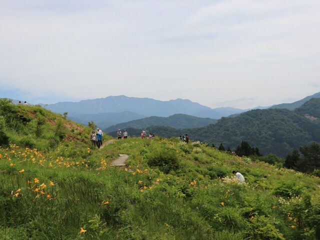 ���R���R�A����