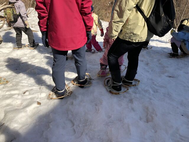 �u�i�I�R�ώ@��