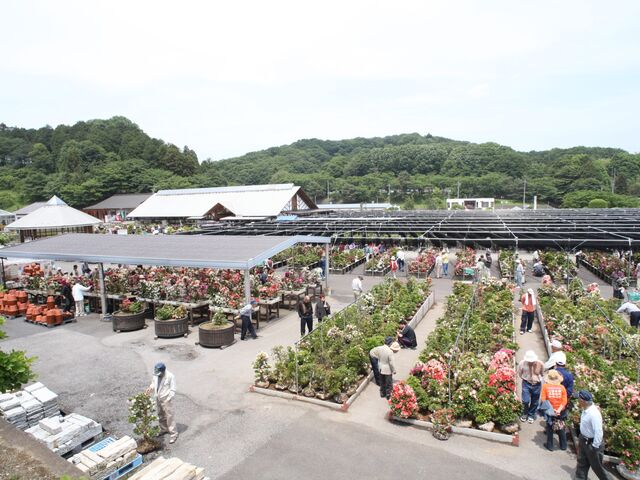 �����s�Ԗ؃Z���^�[�̎ʐ^1