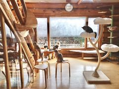 n^LJtF یLz[JtF ˂ڂ̎ʐ^1