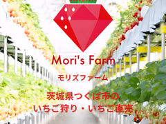 Mori's Farm̎ʐ^1