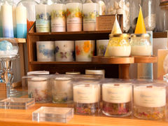 Arbre Candle�̎ʐ^1