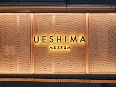 UESHIMA MUSEUM̎ʐ^1