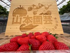 �R�{���|���������̎ʐ^1