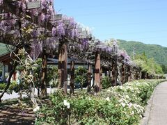 ���R�낭�e�[�}�p�[�N�@�g�����n�^�͍��E���쉀�n�̎ʐ^1