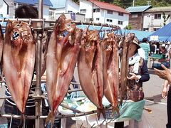 �����Ⴑ���񋙋��Ղ̎ʐ^1