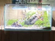 �ۃ��E���H�[������̎ʐ^4