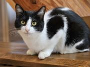 n^LJtF یLz[JtF ˂ڂ̎ʐ^2