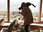 n^LJtF یLz[JtF ˂ڂ̎ʐ^3