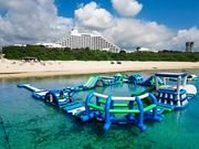 ANAC^[R`l^Ί_][g̎ʐ^2