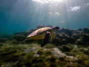 ANAC^[R`l^Ί_][g̎ʐ^3