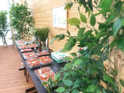 Strawberry Rabbit's�̎ʐ^4