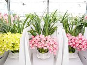 ����_���i�a�v�؊�����Ёj�̎ʐ^3