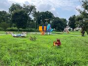 �򒬐������̎ʐ^3