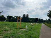 �򒬐������̎ʐ^4