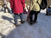 �u�i�I�R�ώ@�ɂ̎ʐ^3