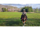 HORSE&BUDDY LIBERATION FARMS̎ʐ^2