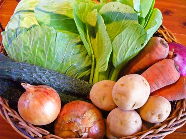 �I�[�K�j�b�N���؂̎ʐ^1