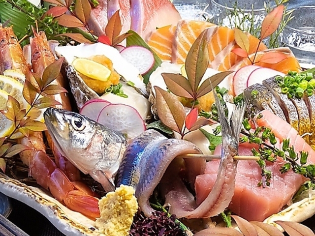 �򉎓ۉ��Ή��̎ʐ^1