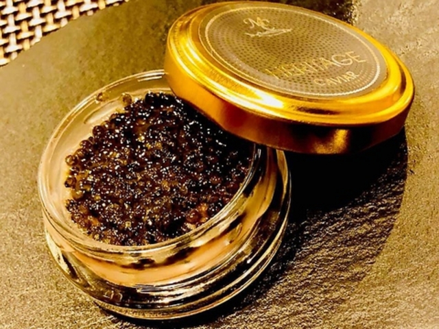 m-u.paysage yCT[W̎ʐ^1