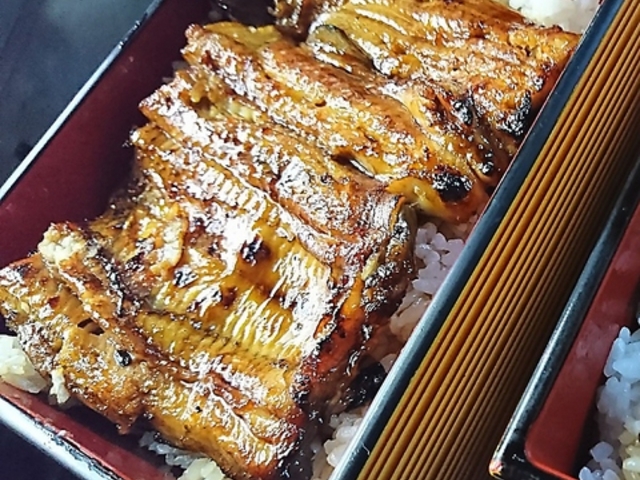 ���ׂ� �T�˂̎ʐ^1