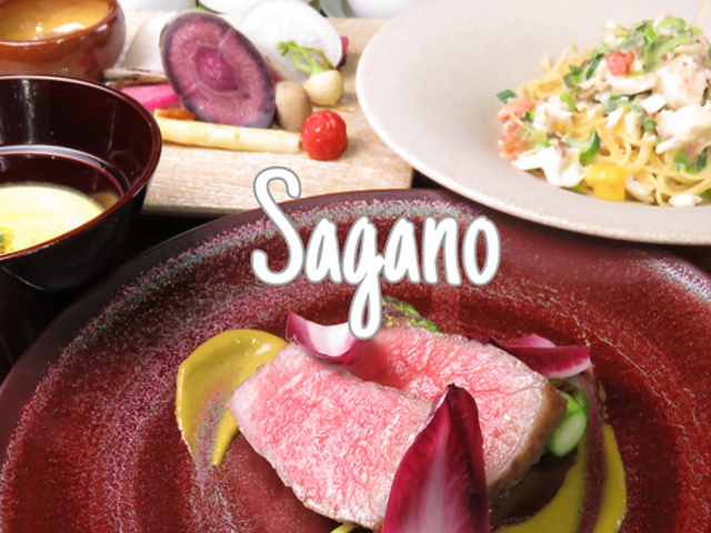 sagano̎ʐ^1