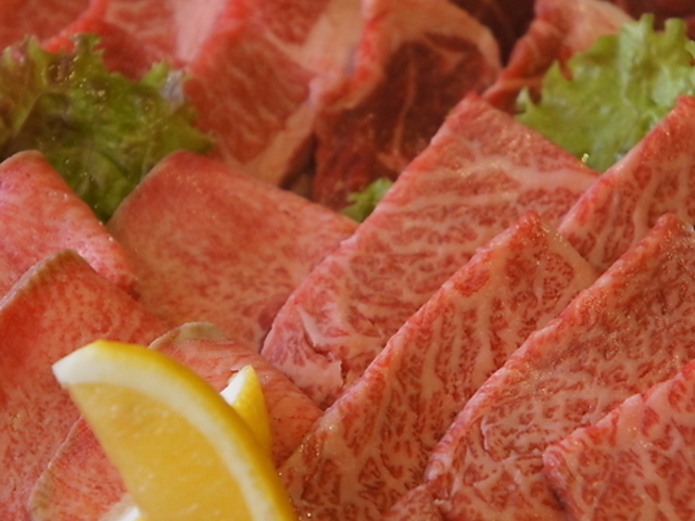 �_�ˉ� �ێR�X�̎ʐ^1