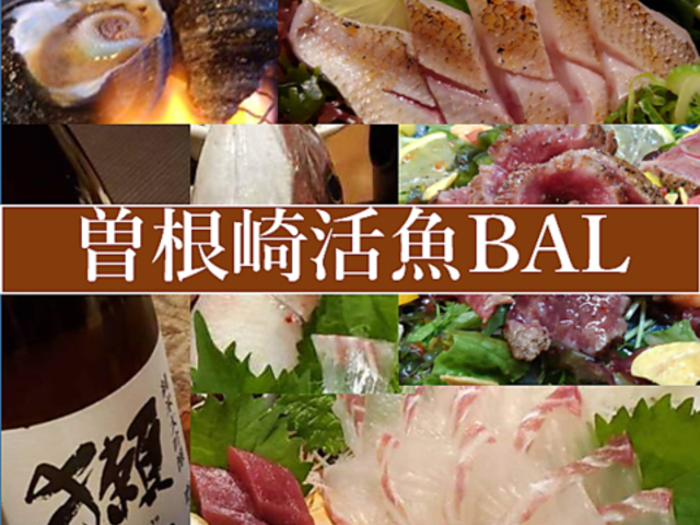 �~�c �]���芈��BAL�̎ʐ^1