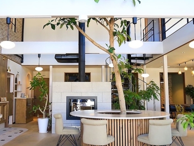 KIIIYA cafe&hostel [̎ʐ^1