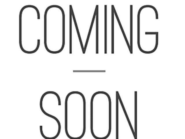 ��O�r�X�g�� �n���^ ���k��X�̎ʐ^1