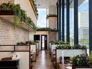 CAFE OASIS ���r�X�^�����x�C�L�F�X�̎ʐ^1