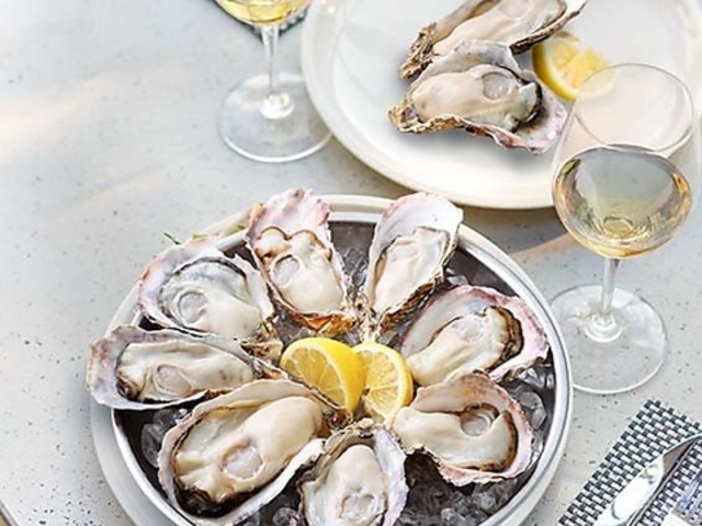 �G�C�X �V�[ �I�C�X�^�[�o�[ �p���R�����X�̎ʐ^1