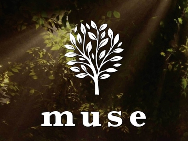 V[VJtF&o[ muse ÉѓX̎ʐ^1