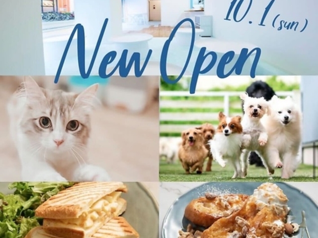 Buzz Cafe by ANELLA oY JtF oC Al YX̎ʐ^1