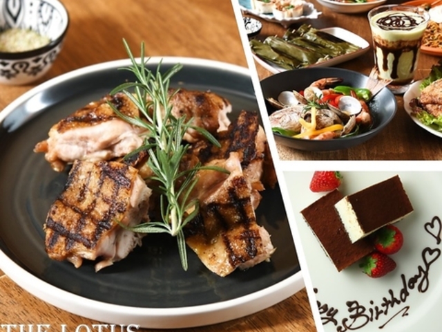 B rXg THE LOTUS̎ʐ^1