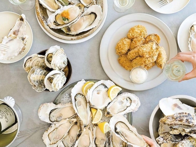 �G�C�X �V�[ �I�C�X�^�[�o�[���O���� ���N�A���X�̎ʐ^1